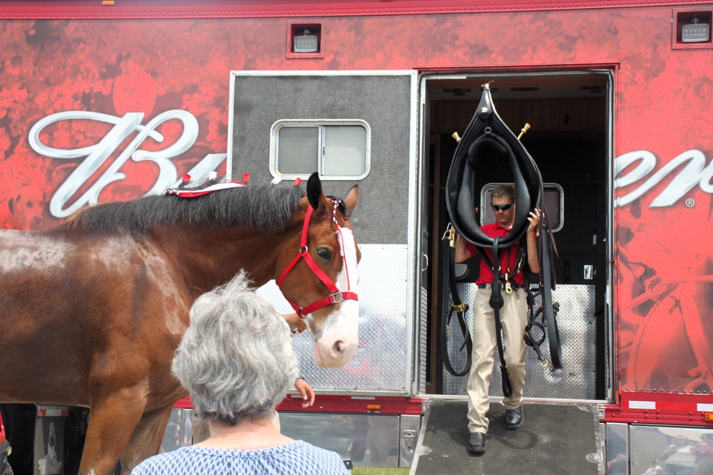 Hundreds attend Clydesdales visit to Fort McCoy; parade held at Pine View Campground