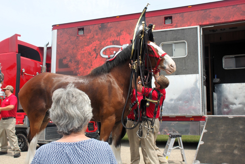 Hundreds attend Clydesdales visit to Fort McCoy; parade held at Pine View Campground