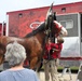 Hundreds attend Clydesdales visit to Fort McCoy; parade held at Pine View Campground