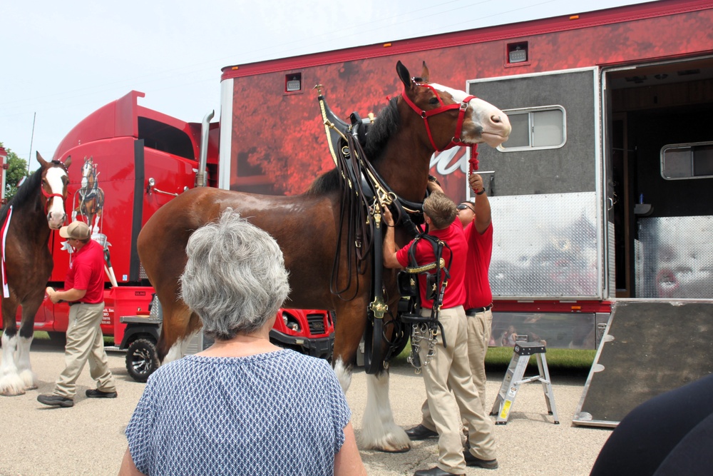 Hundreds attend Clydesdales visit to Fort McCoy; parade held at Pine View Campground