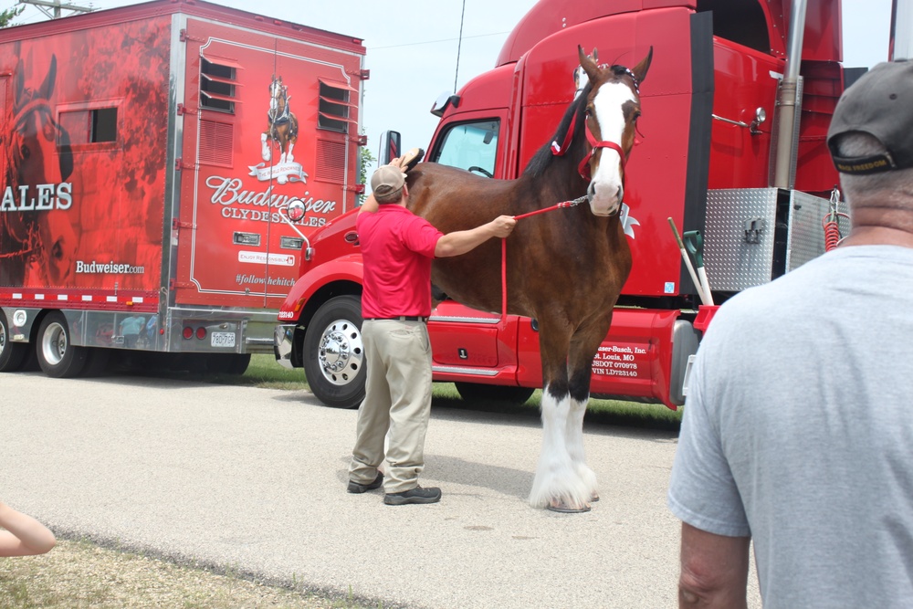 Hundreds attend Clydesdales visit to Fort McCoy; parade held at Pine View Campground
