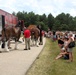 Hundreds attend Clydesdales visit to Fort McCoy; parade held at Pine View Campground