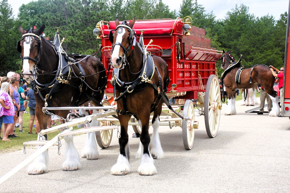 Hundreds attend Clydesdales visit to Fort McCoy; parade held at Pine View Campground
