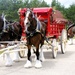 Hundreds attend Clydesdales visit to Fort McCoy; parade held at Pine View Campground