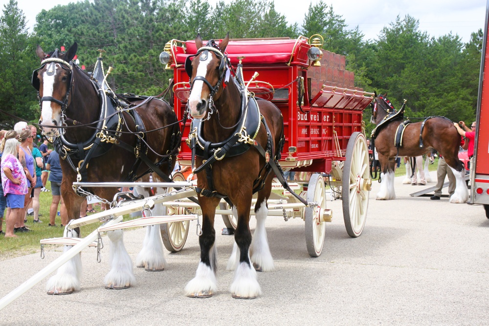 Hundreds attend Clydesdales visit to Fort McCoy; parade held at Pine View Campground