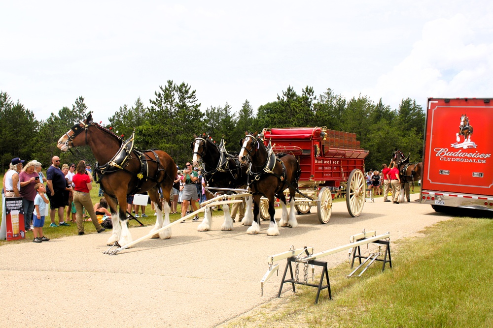 Hundreds attend Clydesdales visit to Fort McCoy; parade held at Pine View Campground