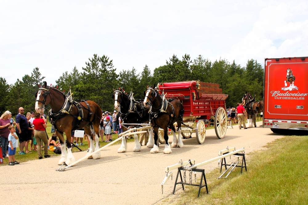 Hundreds attend Clydesdales visit to Fort McCoy; parade held at Pine View Campground
