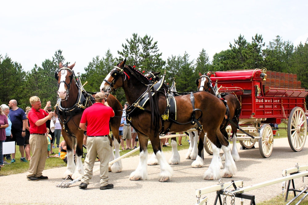 Hundreds attend Clydesdales visit to Fort McCoy; parade held at Pine View Campground