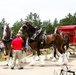 Hundreds attend Clydesdales visit to Fort McCoy; parade held at Pine View Campground
