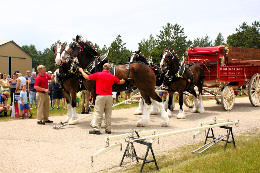 Hundreds attend Clydesdales visit to Fort McCoy; parade held at Pine View Campground