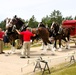 Hundreds attend Clydesdales visit to Fort McCoy; parade held at Pine View Campground