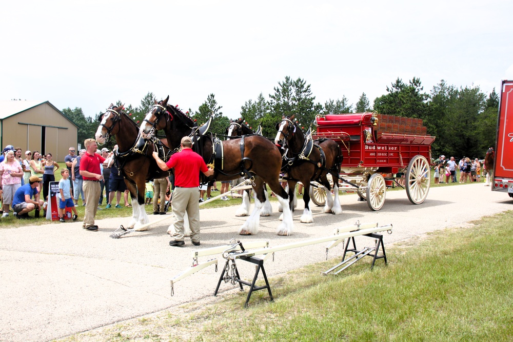 Hundreds attend Clydesdales visit to Fort McCoy; parade held at Pine View Campground