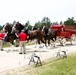 Hundreds attend Clydesdales visit to Fort McCoy; parade held at Pine View Campground