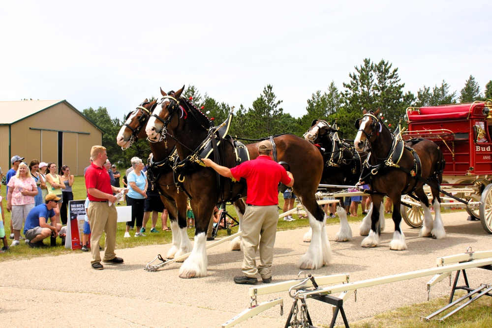 Hundreds attend Clydesdales visit to Fort McCoy; parade held at Pine View Campground
