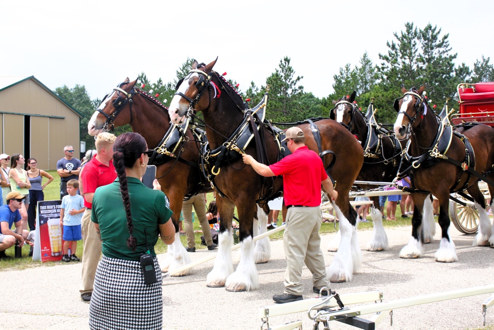 Hundreds attend Clydesdales visit to Fort McCoy; parade held at Pine View Campground