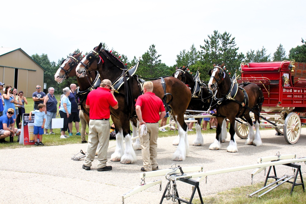 Hundreds attend Clydesdales visit to Fort McCoy; parade held at Pine View Campground