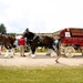 Hundreds attend Clydesdales visit to Fort McCoy; parade held at Pine View Campground