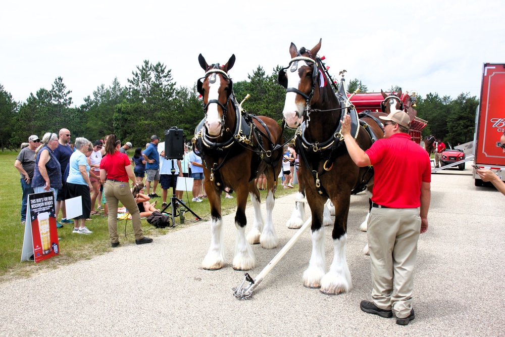 Hundreds attend Clydesdales visit to Fort McCoy; parade held at Pine View Campground
