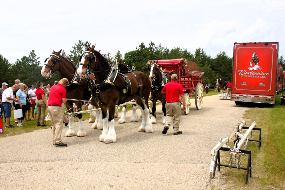 Hundreds attend Clydesdales visit to Fort McCoy; parade held at Pine View Campground