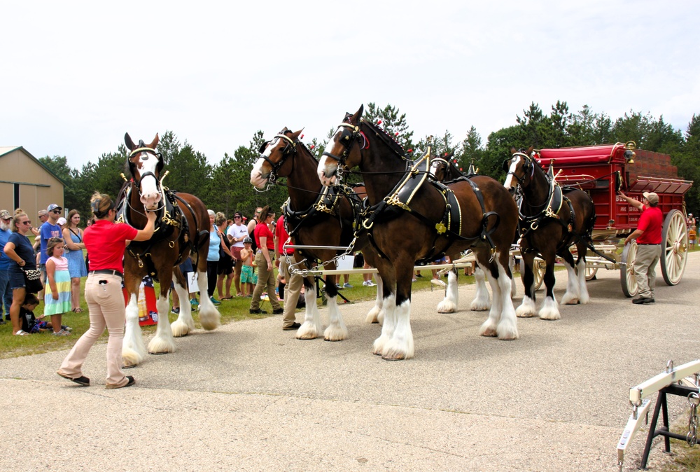 Hundreds attend Clydesdales visit to Fort McCoy; parade held at Pine View Campground