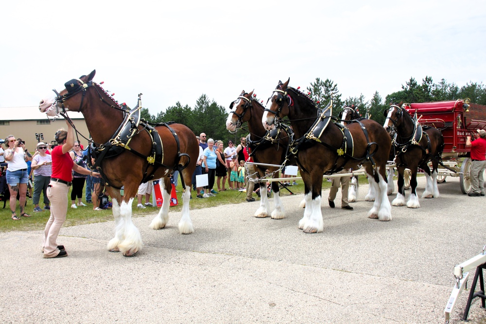 Hundreds attend Clydesdales visit to Fort McCoy; parade held at Pine View Campground