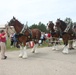 Hundreds attend Clydesdales visit to Fort McCoy; parade held at Pine View Campground