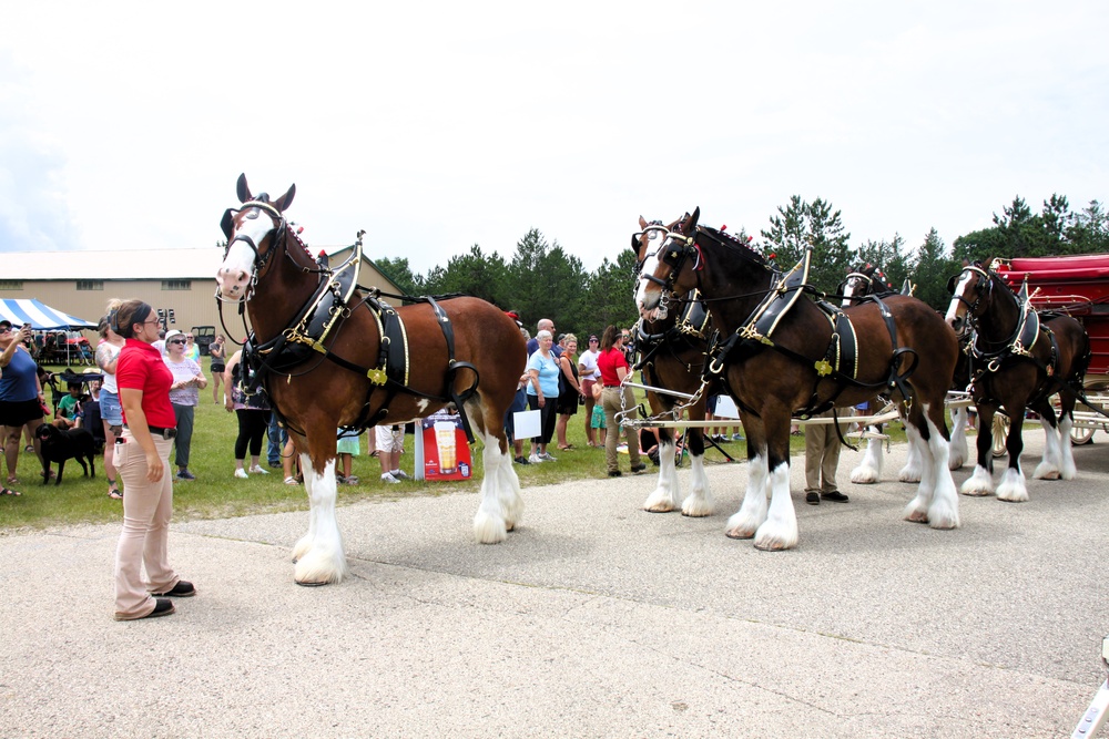 Hundreds attend Clydesdales visit to Fort McCoy; parade held at Pine View Campground
