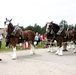 Hundreds attend Clydesdales visit to Fort McCoy; parade held at Pine View Campground