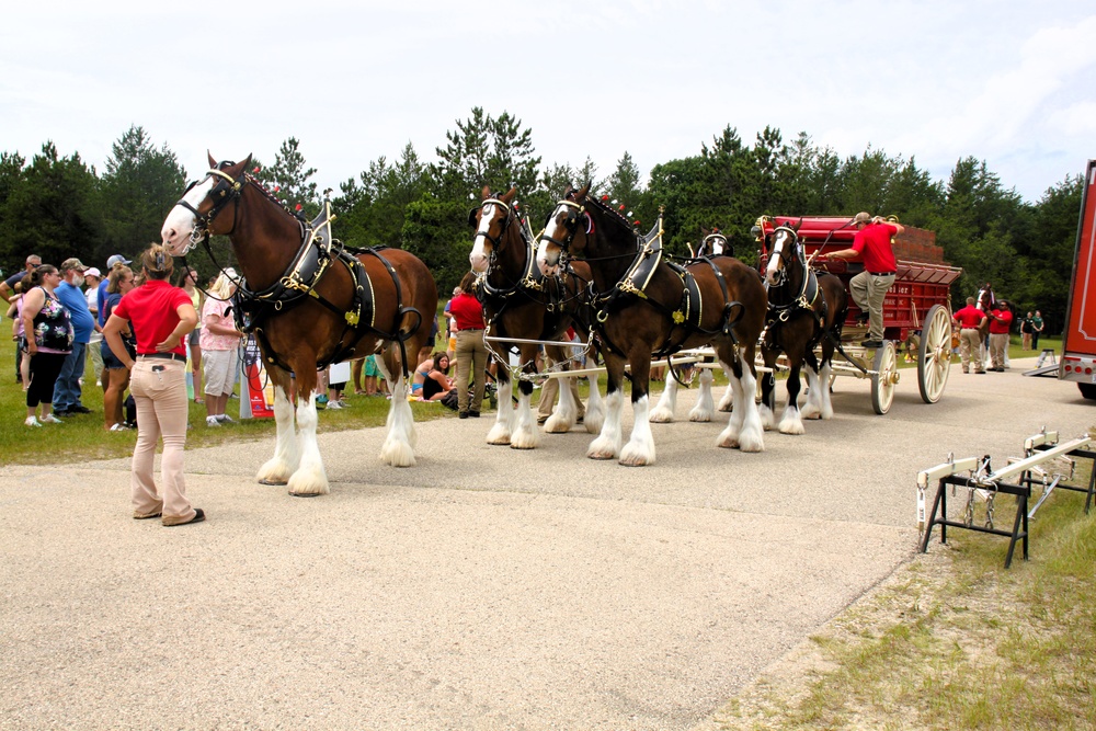 Hundreds attend Clydesdales visit to Fort McCoy; parade held at Pine View Campground