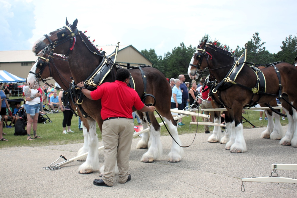 Hundreds attend Clydesdales visit to Fort McCoy; parade held at Pine View Campground