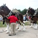 Hundreds attend Clydesdales visit to Fort McCoy; parade held at Pine View Campground