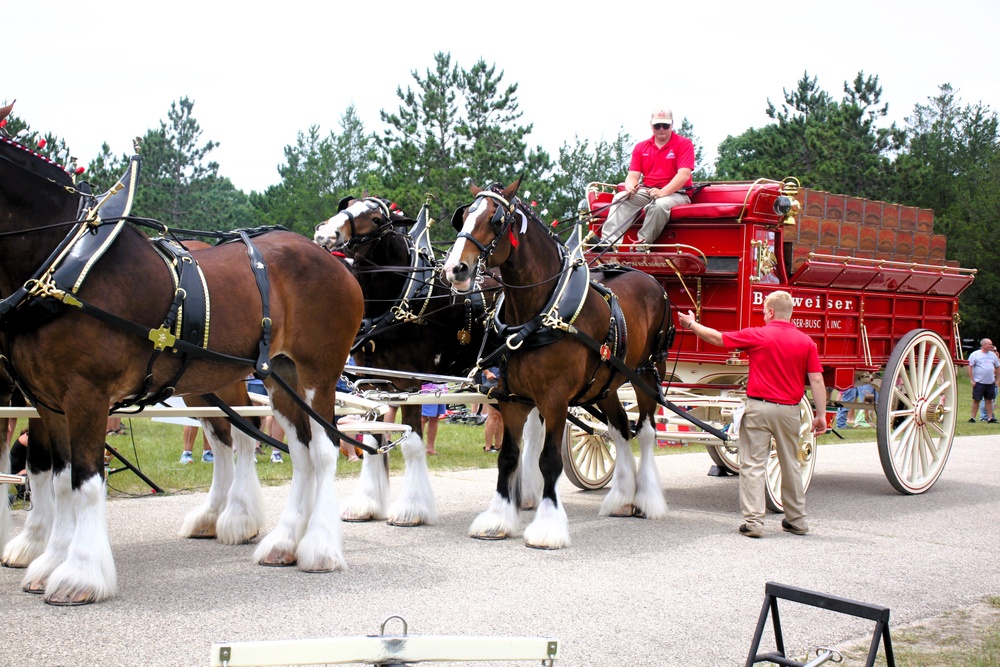 Hundreds attend Clydesdales visit to Fort McCoy; parade held at Pine View Campground