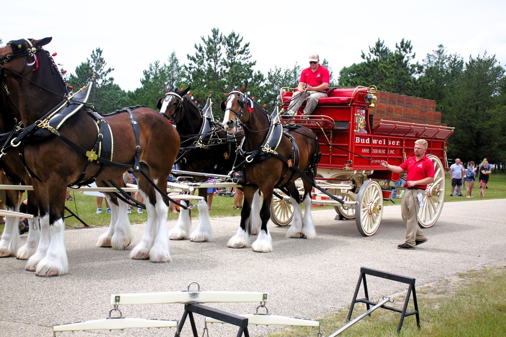 Hundreds attend Clydesdales visit to Fort McCoy; parade held at Pine View Campground