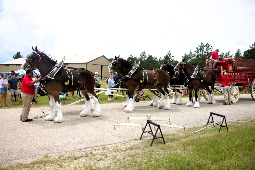 Hundreds attend Clydesdales visit to Fort McCoy; parade held at Pine View Campground