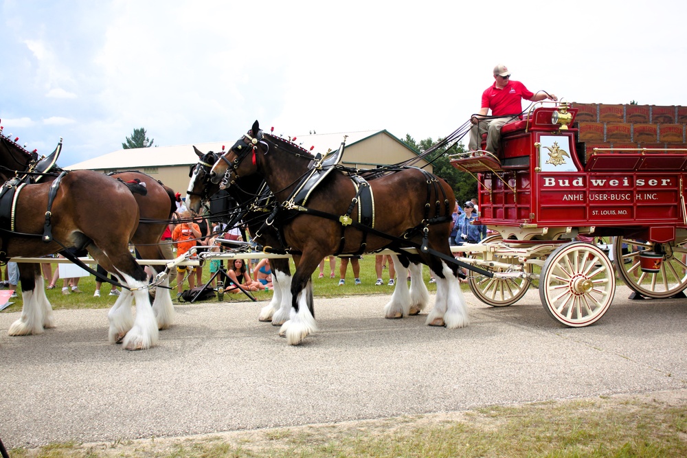 Hundreds attend Clydesdales visit to Fort McCoy; parade held at Pine View Campground