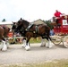 Hundreds attend Clydesdales visit to Fort McCoy; parade held at Pine View Campground