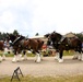 Hundreds attend Clydesdales visit to Fort McCoy; parade held at Pine View Campground