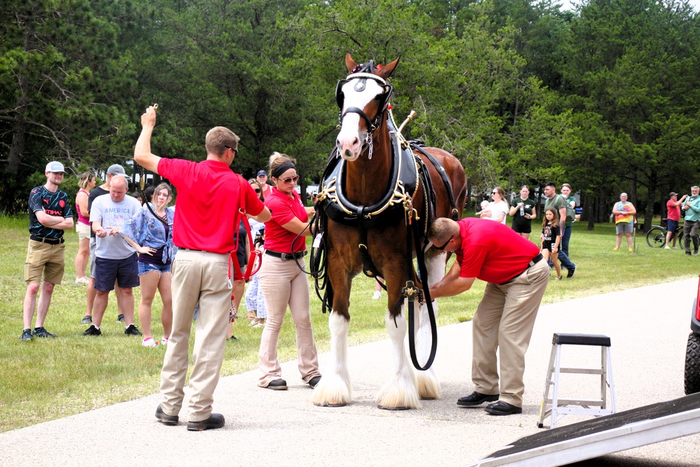 Hundreds attend Clydesdales visit to Fort McCoy; parade held at Pine View Campground
