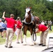 Hundreds attend Clydesdales visit to Fort McCoy; parade held at Pine View Campground
