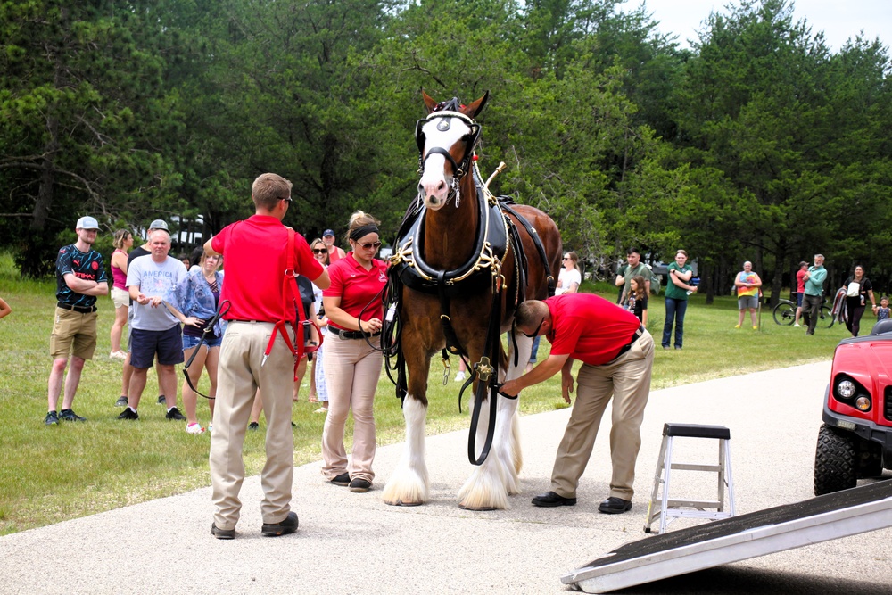 Hundreds attend Clydesdales visit to Fort McCoy; parade held at Pine View Campground