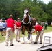 Hundreds attend Clydesdales visit to Fort McCoy; parade held at Pine View Campground