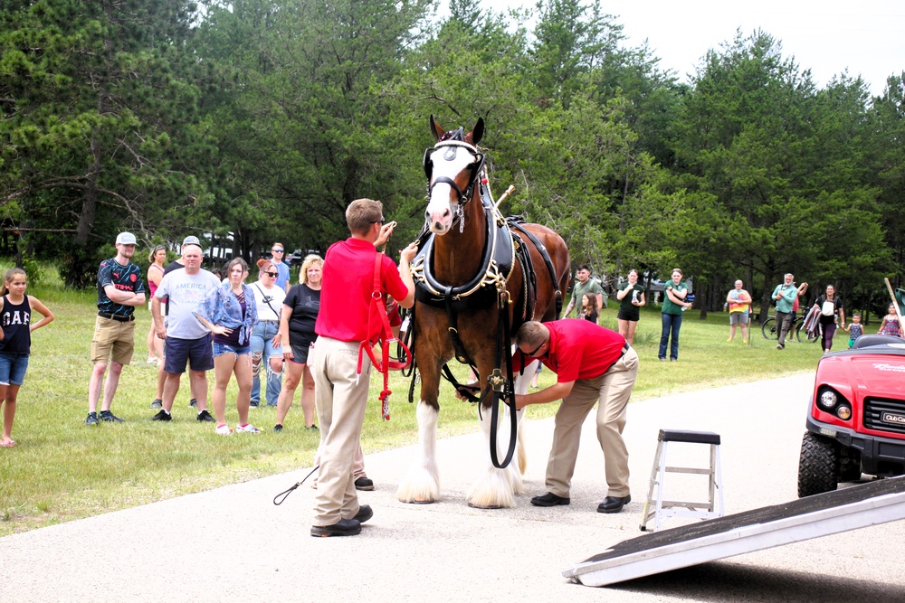 Hundreds attend Clydesdales visit to Fort McCoy; parade held at Pine View Campground