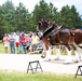 Hundreds attend Clydesdales visit to Fort McCoy; parade held at Pine View Campground
