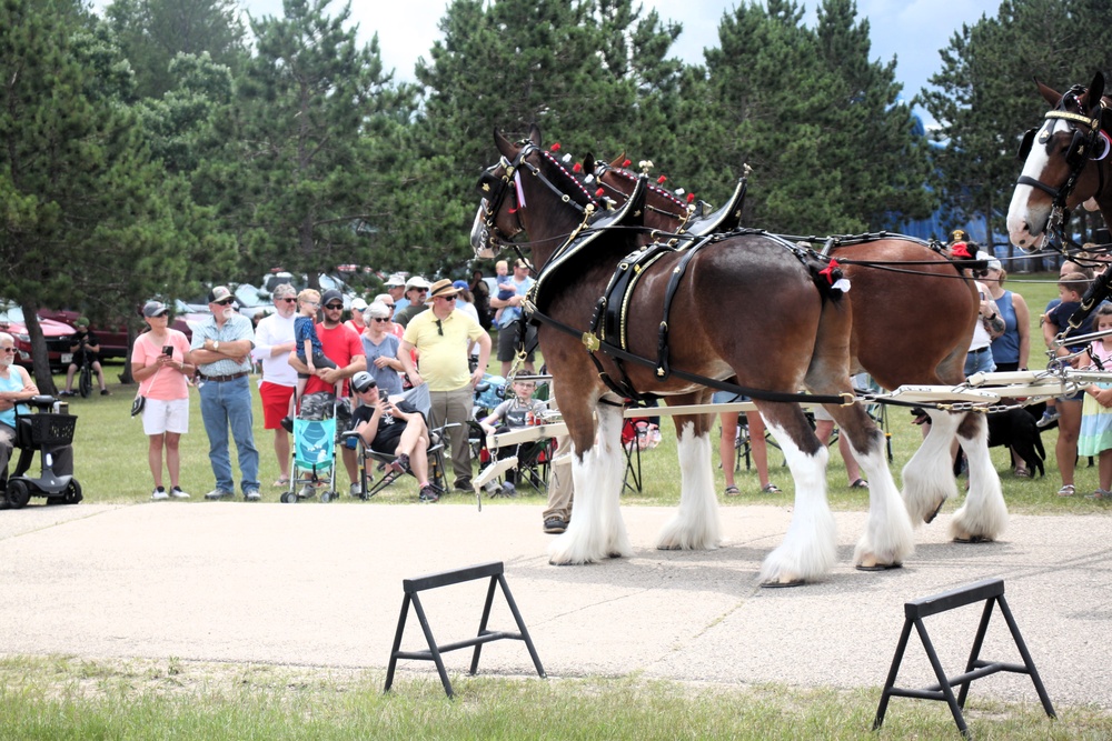 Hundreds attend Clydesdales visit to Fort McCoy; parade held at Pine View Campground