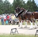 Hundreds attend Clydesdales visit to Fort McCoy; parade held at Pine View Campground