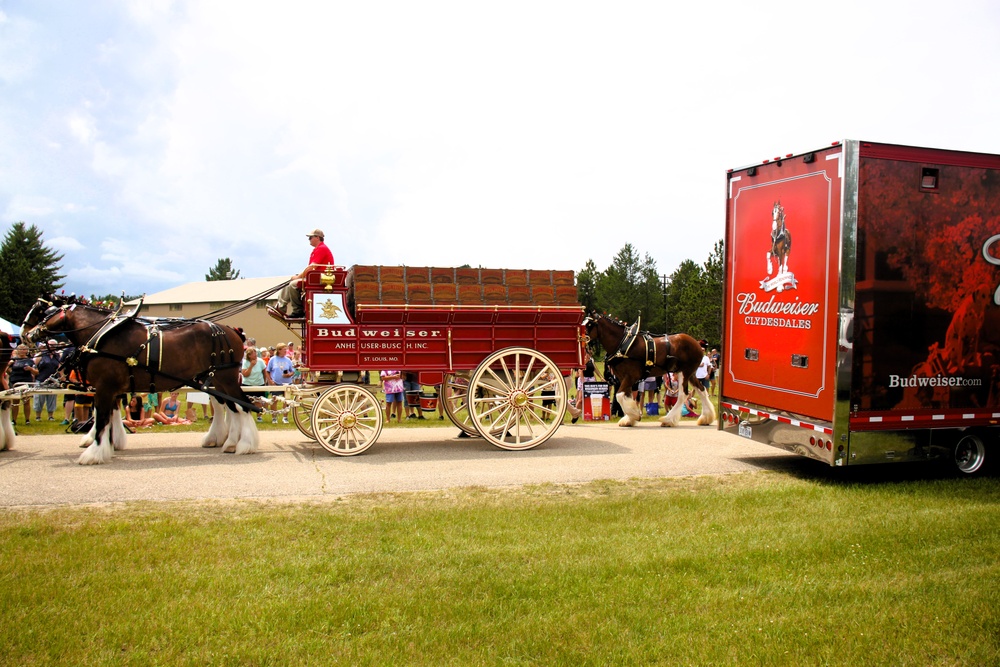 Hundreds attend Clydesdales visit to Fort McCoy; parade held at Pine View Campground