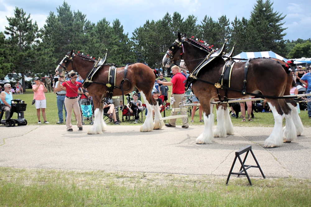 Hundreds attend Clydesdales visit to Fort McCoy; parade held at Pine View Campground