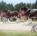 Hundreds attend Clydesdales visit to Fort McCoy; parade held at Pine View Campground