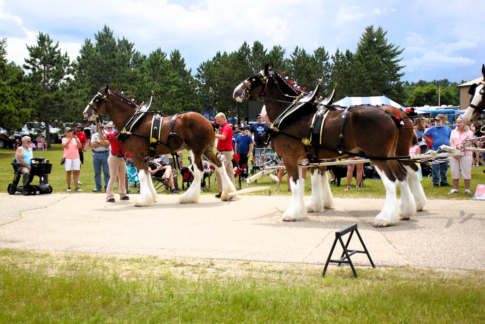 Hundreds attend Clydesdales visit to Fort McCoy; parade held at Pine View Campground