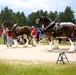 Hundreds attend Clydesdales visit to Fort McCoy; parade held at Pine View Campground
